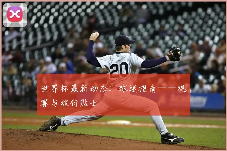 世界杯最新动态：球迷指南——观赛与旅行贴士