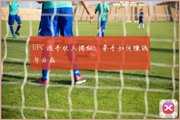 UFC 选手收入揭秘:拳手如何赚钱与分成