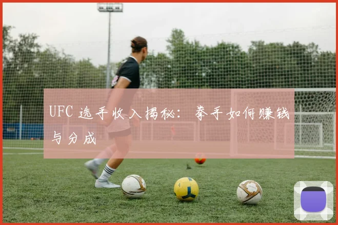 UFC 选手收入揭秘：拳手如何赚钱与分成