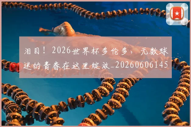 泪目!2026世界杯多伦多,无数球迷的青春在这里绽放_20260606145904